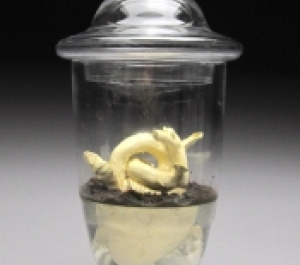 Ceramic piece by Rachelyn Spry